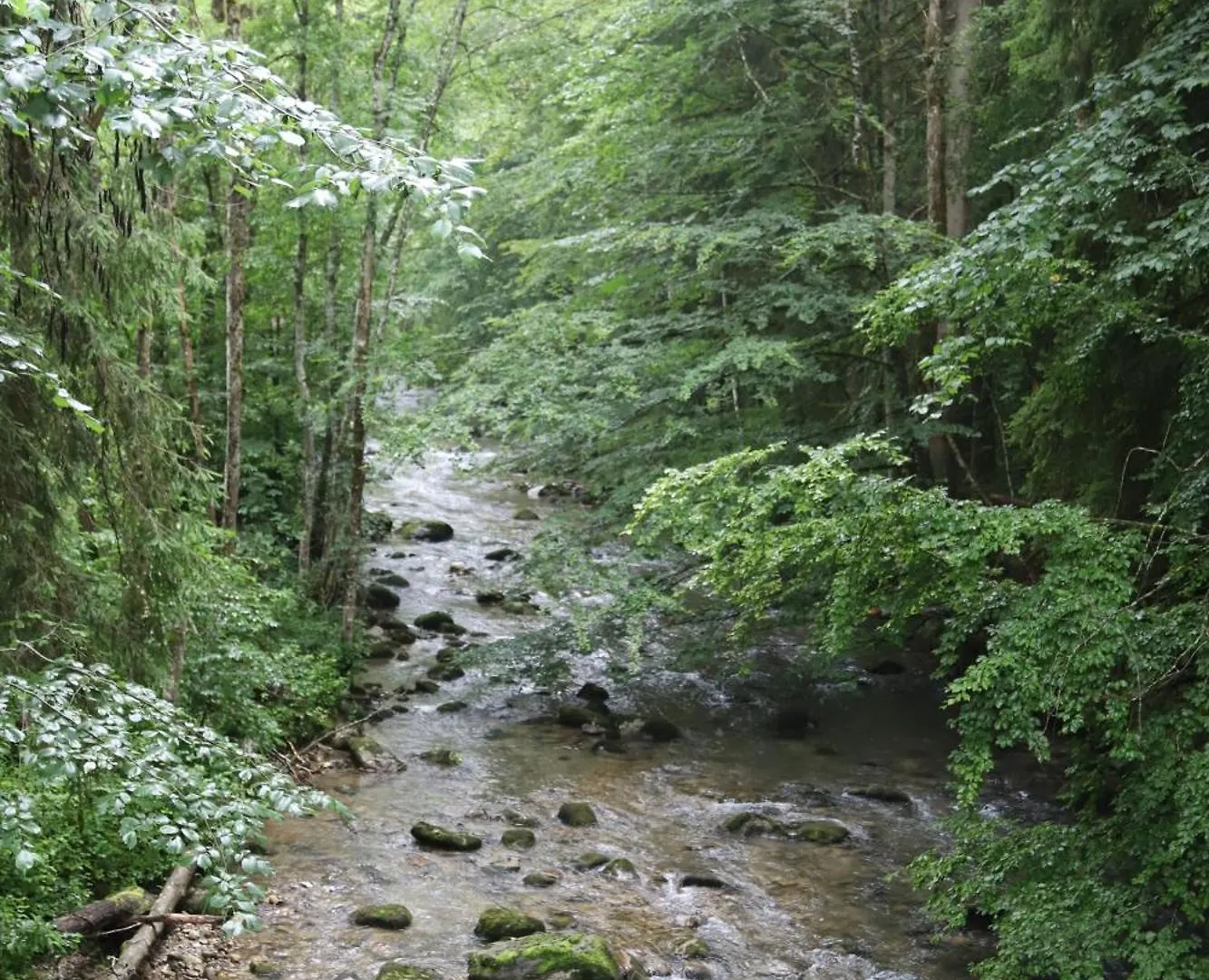 Les Curtillets Bellevaux França